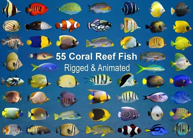 Coral Reef Fish Collection Animated - Game Ready pack 3 Low-poly 3D model