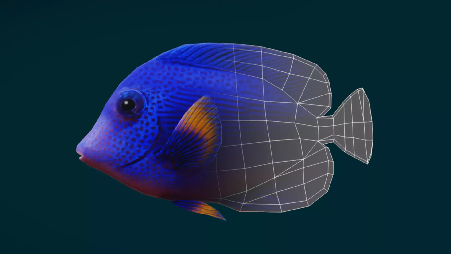Coral Reef Fish Collection Animated - Game Ready pack 3 Low-poly 3D model_22