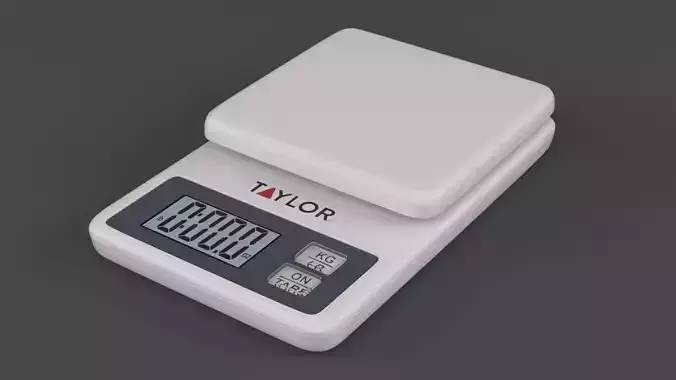 Digital Food Scale 3D model