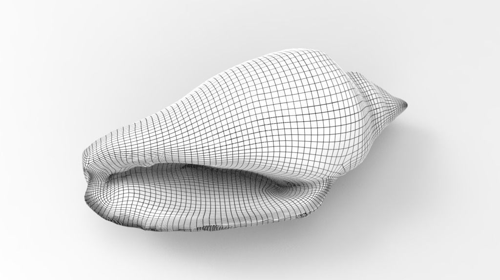 Conch Sea Shell Low-poly 3D model_5