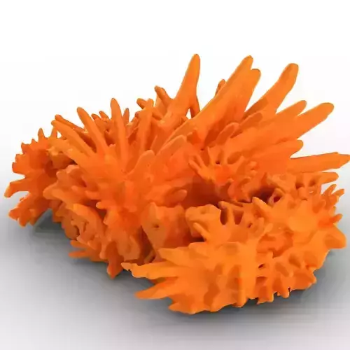 Coral for aquarium or deco 3D print model