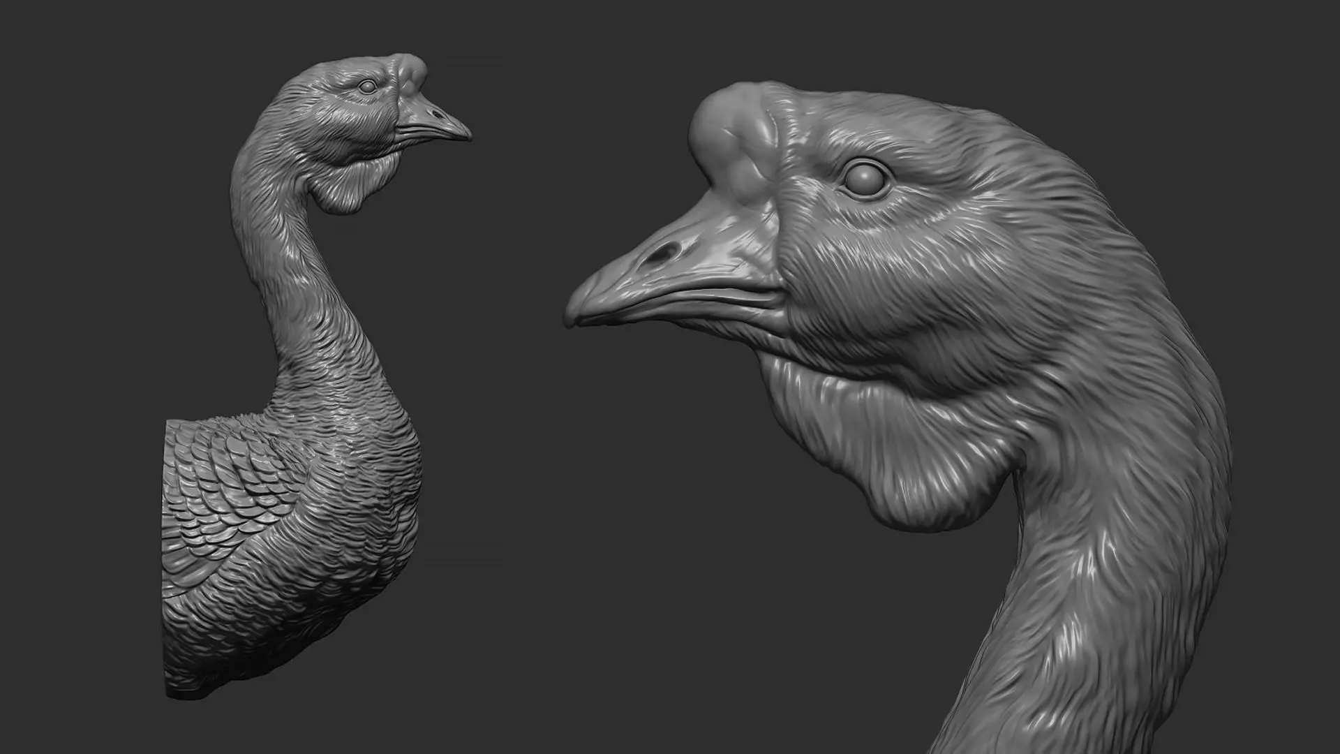 Goose Gander bust 3D print model