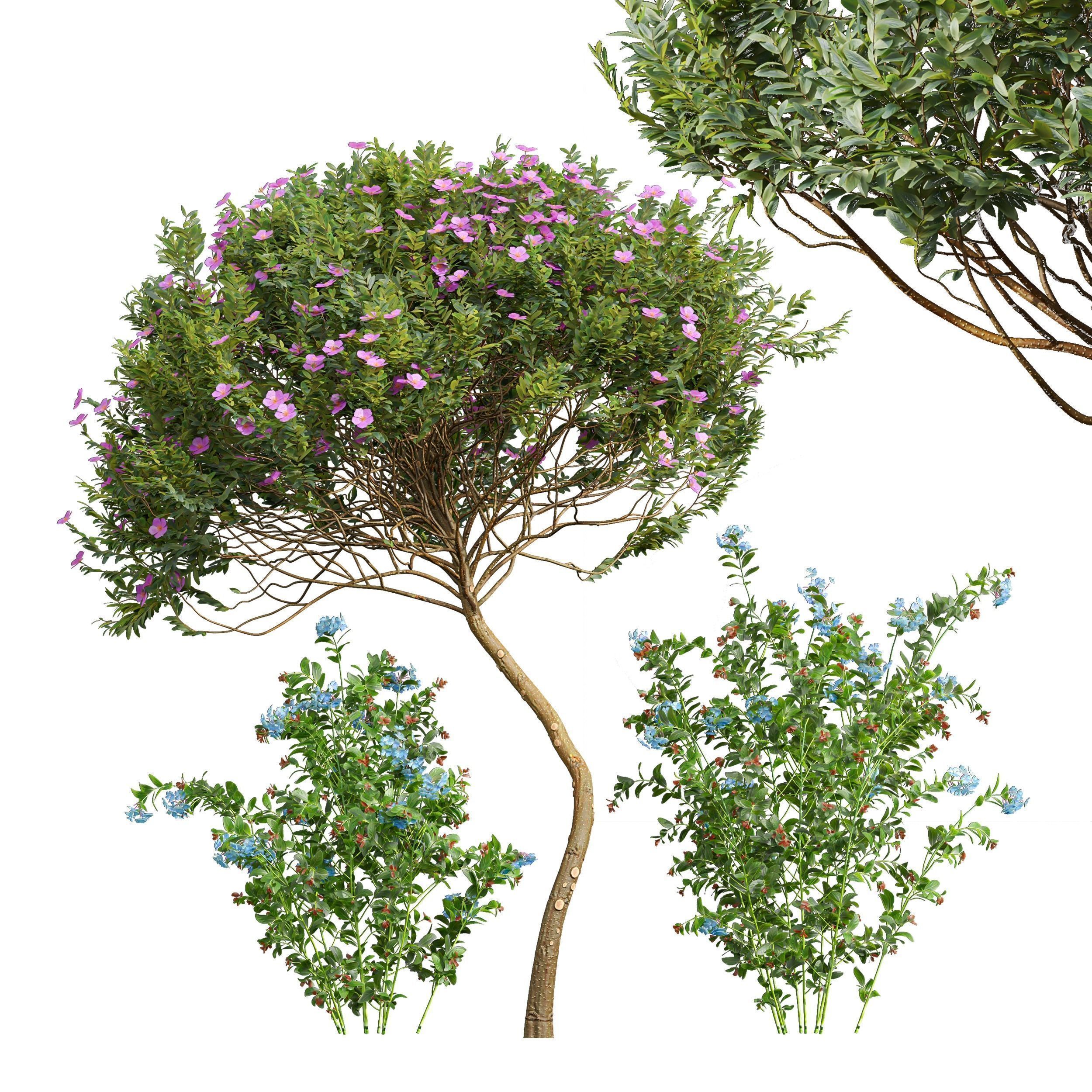 10 Different SETS Of Bush SET VOL12 3D Model Collection_16