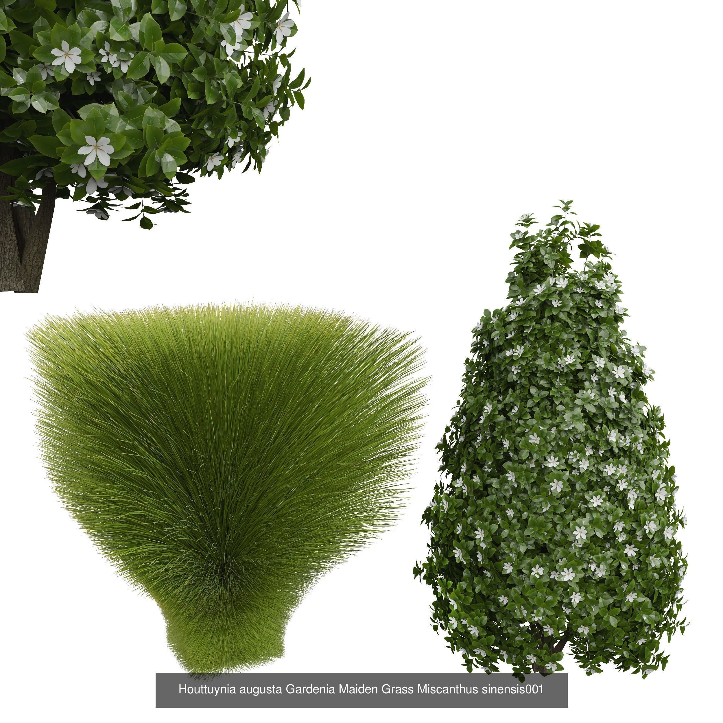 10 Different SETS Of Bush SET VOL12 3D Model Collection_1