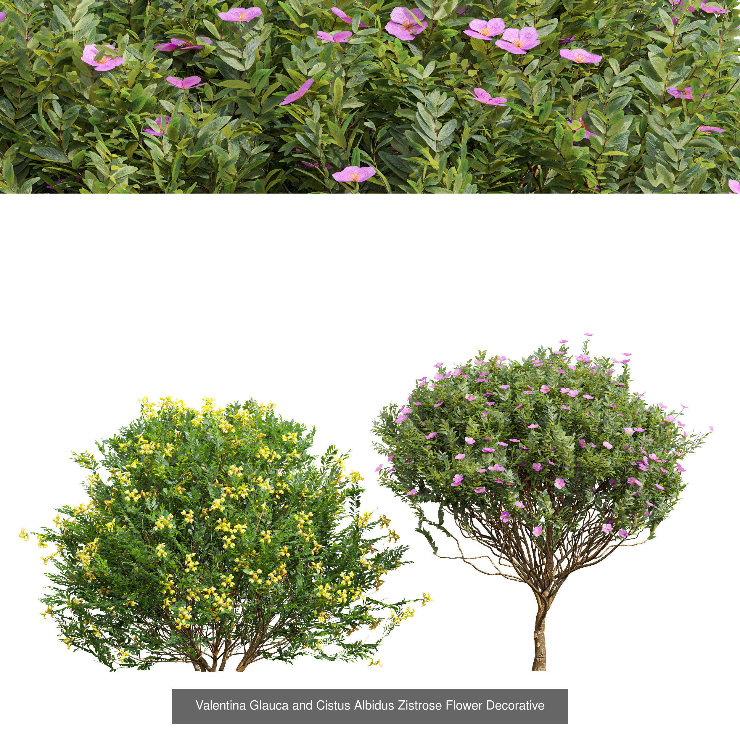 10 Different SETS Of Bush SET VOL12 3D Model Collection_10