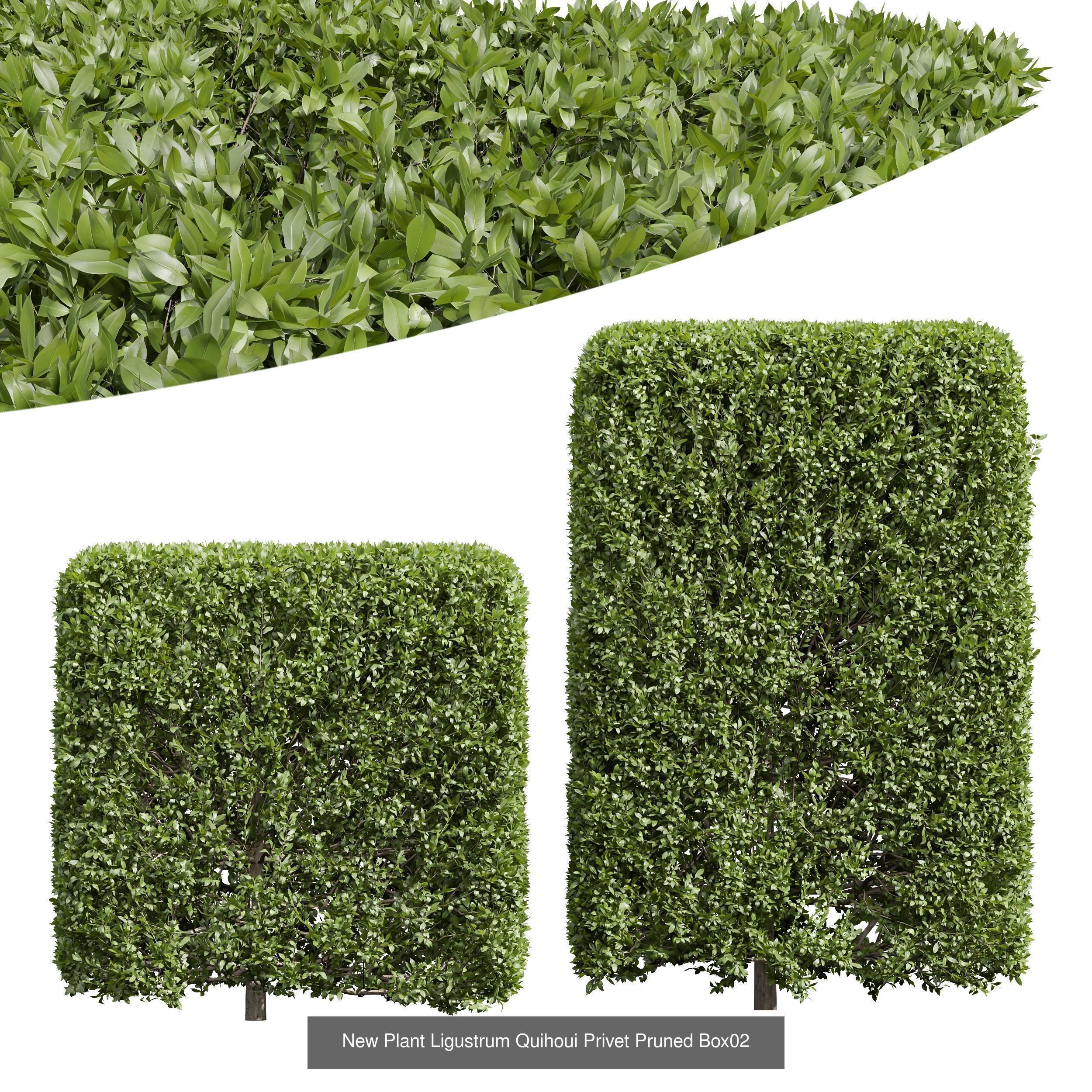 10 Different SETS Of Bush SET VOL12 3D Model Collection_2