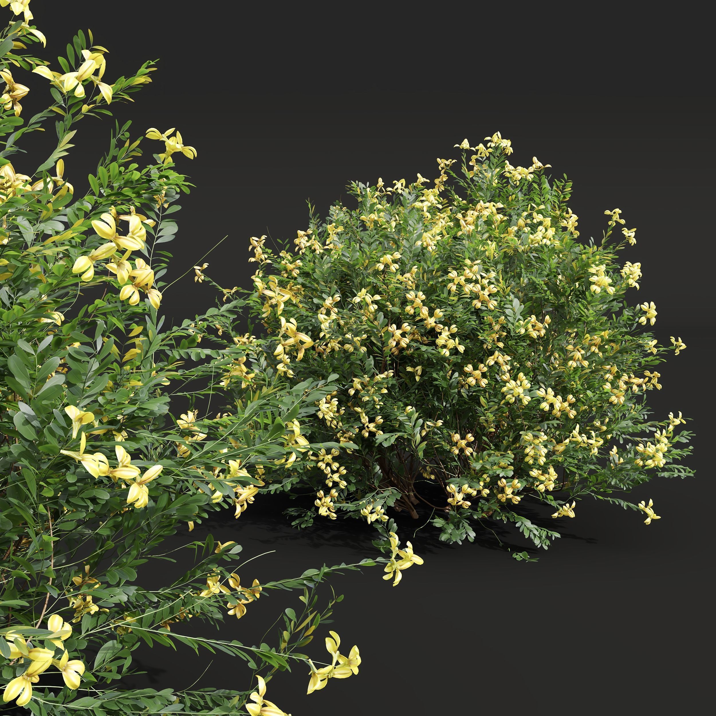 10 Different SETS Of Bush SET VOL12 3D Model Collection_17