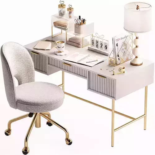 Study Room Desk For Teenagers and Kids N01