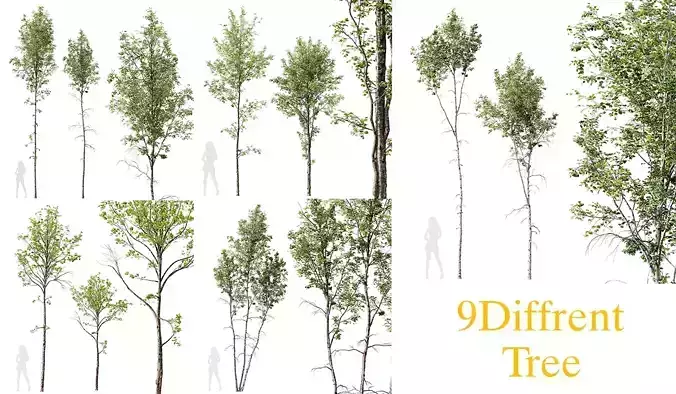 5 Different SETS of Trees SET VOL13 3D Model Collection