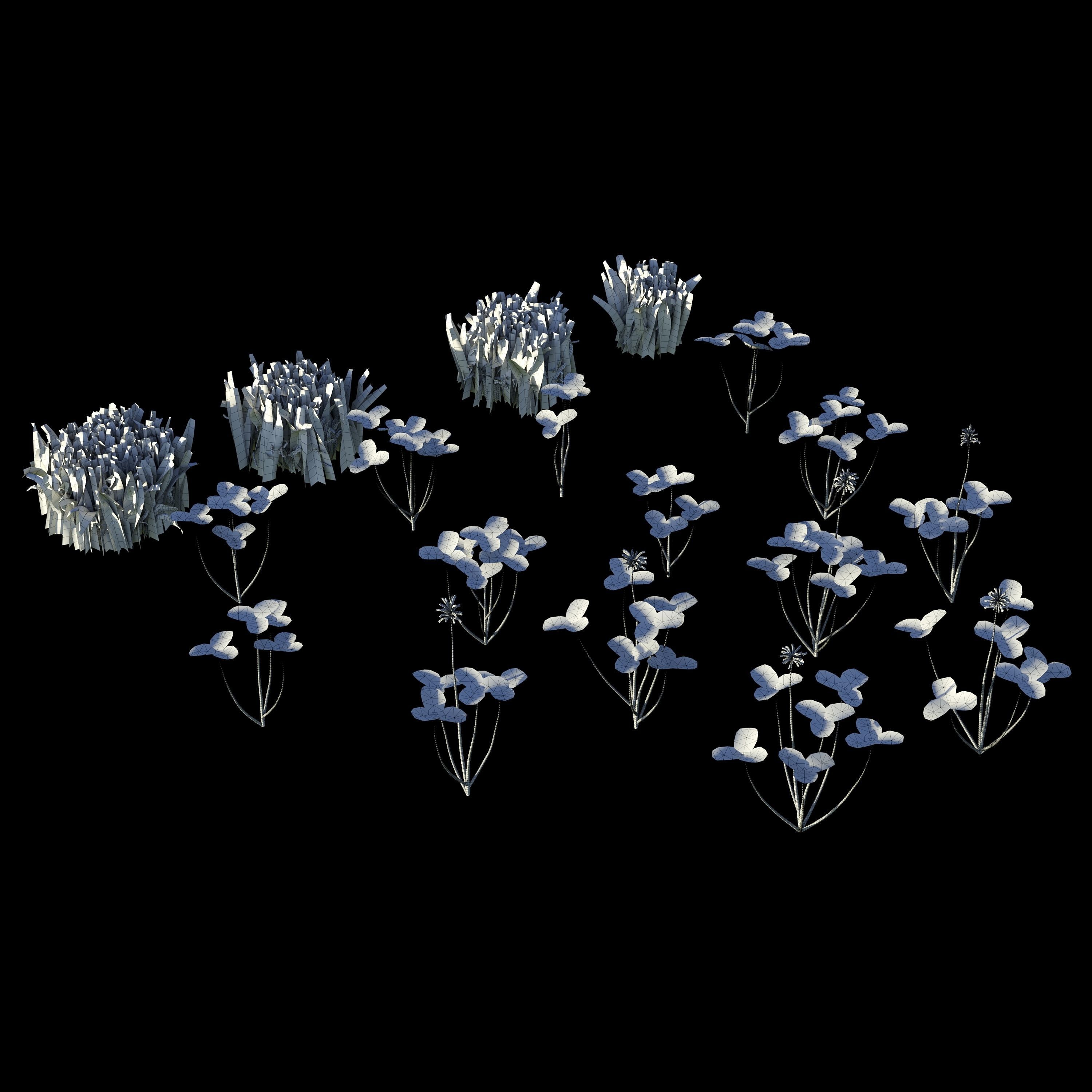 white Clover lawn 3D model_5