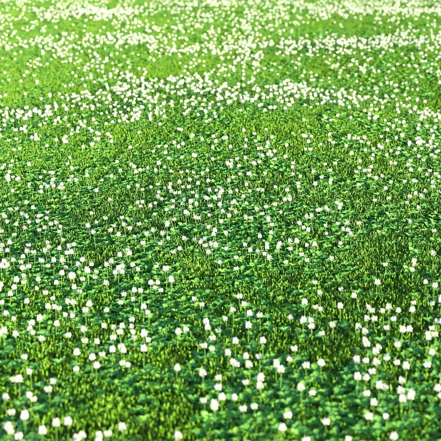 white Clover lawn 3D model_3