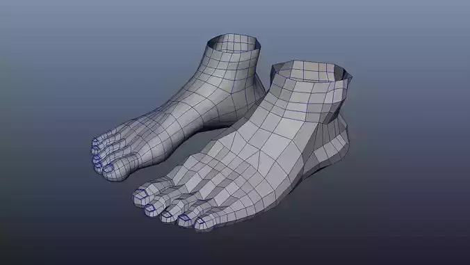 Foot low poly