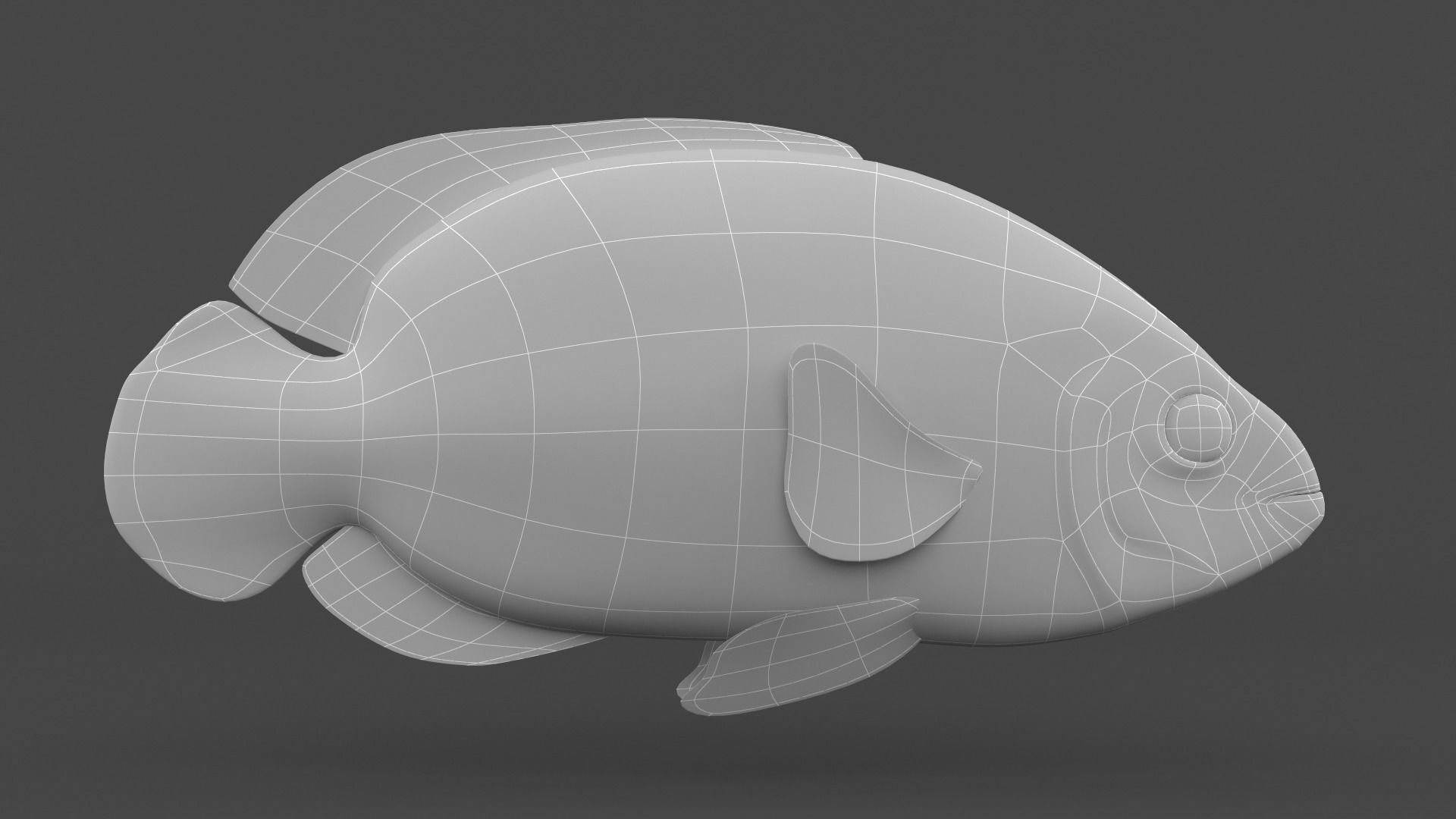 Oscar Fish 3D model_5