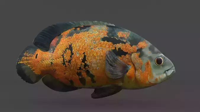 Oscar Fish