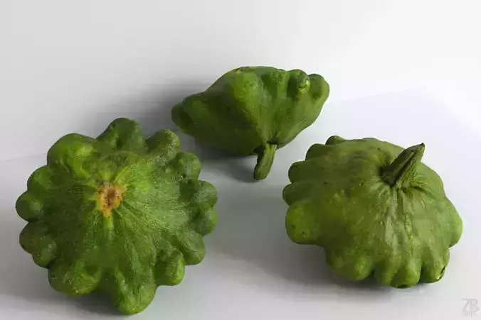 Zucchini 3D model