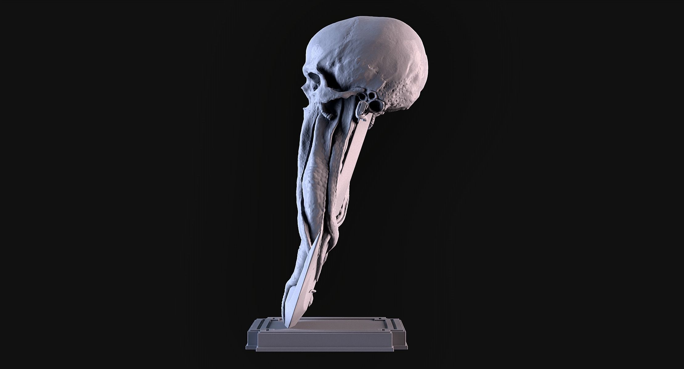 Skull Tentacle Anchor 3D print model_7