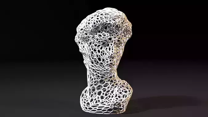 Statue Of David Michelangelo Head