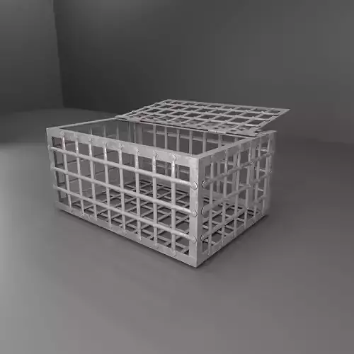 cage model Low-poly 3D model