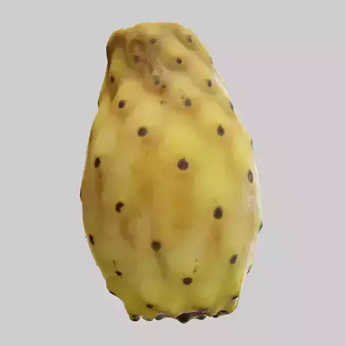Prickly Pear