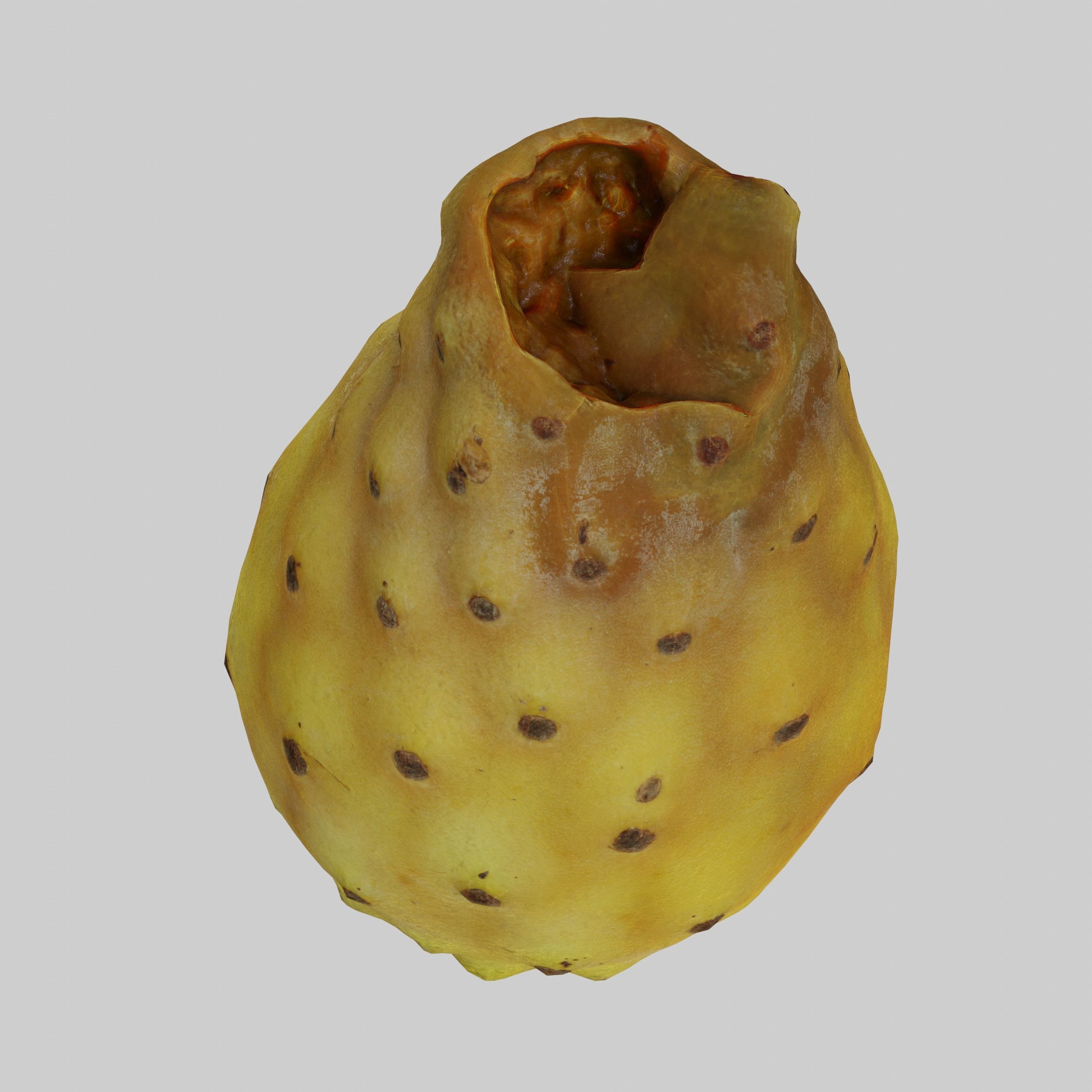 Prickly Pear 3D model_5