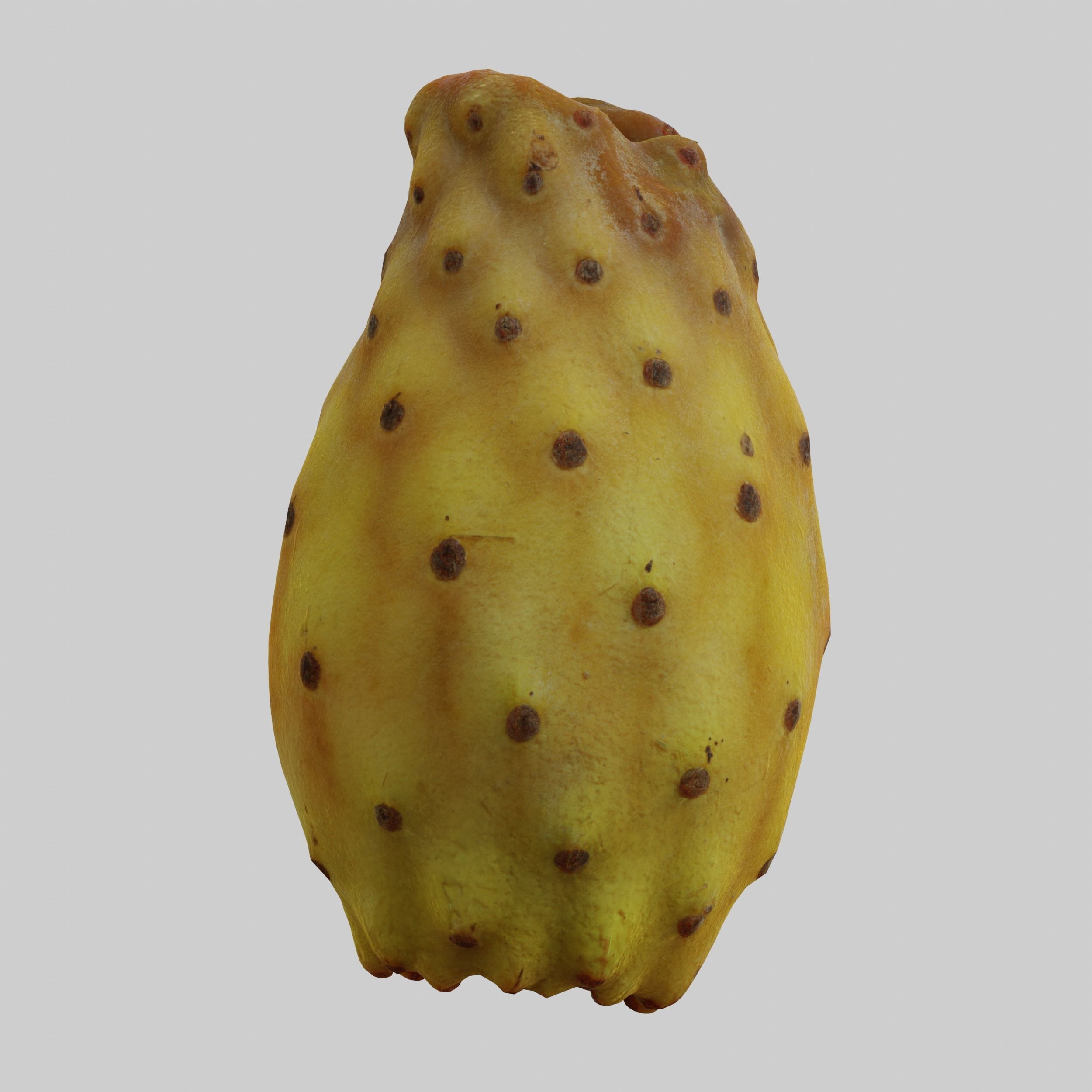 Prickly Pear 3D model_4