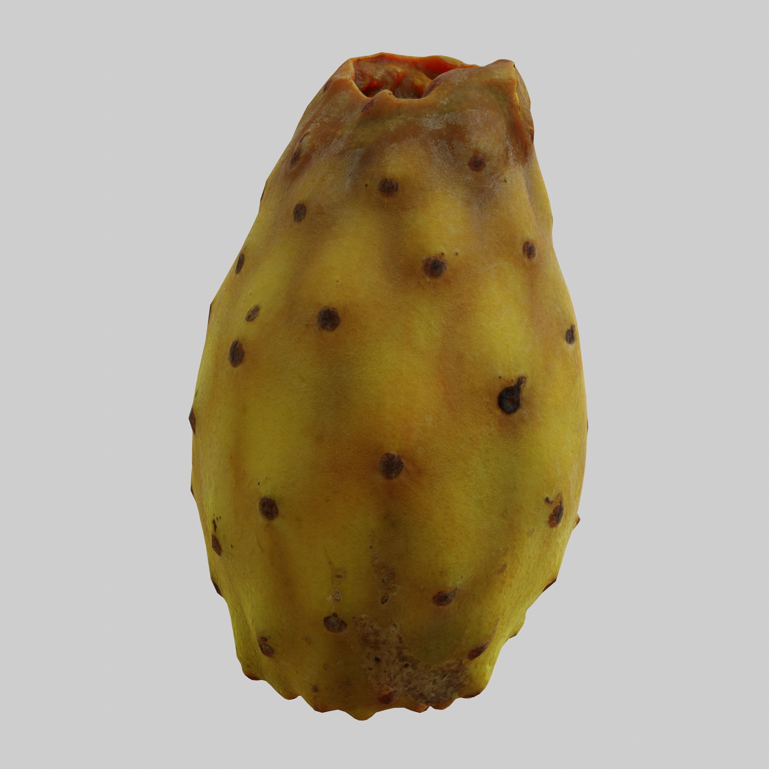 Prickly Pear 3D model_1