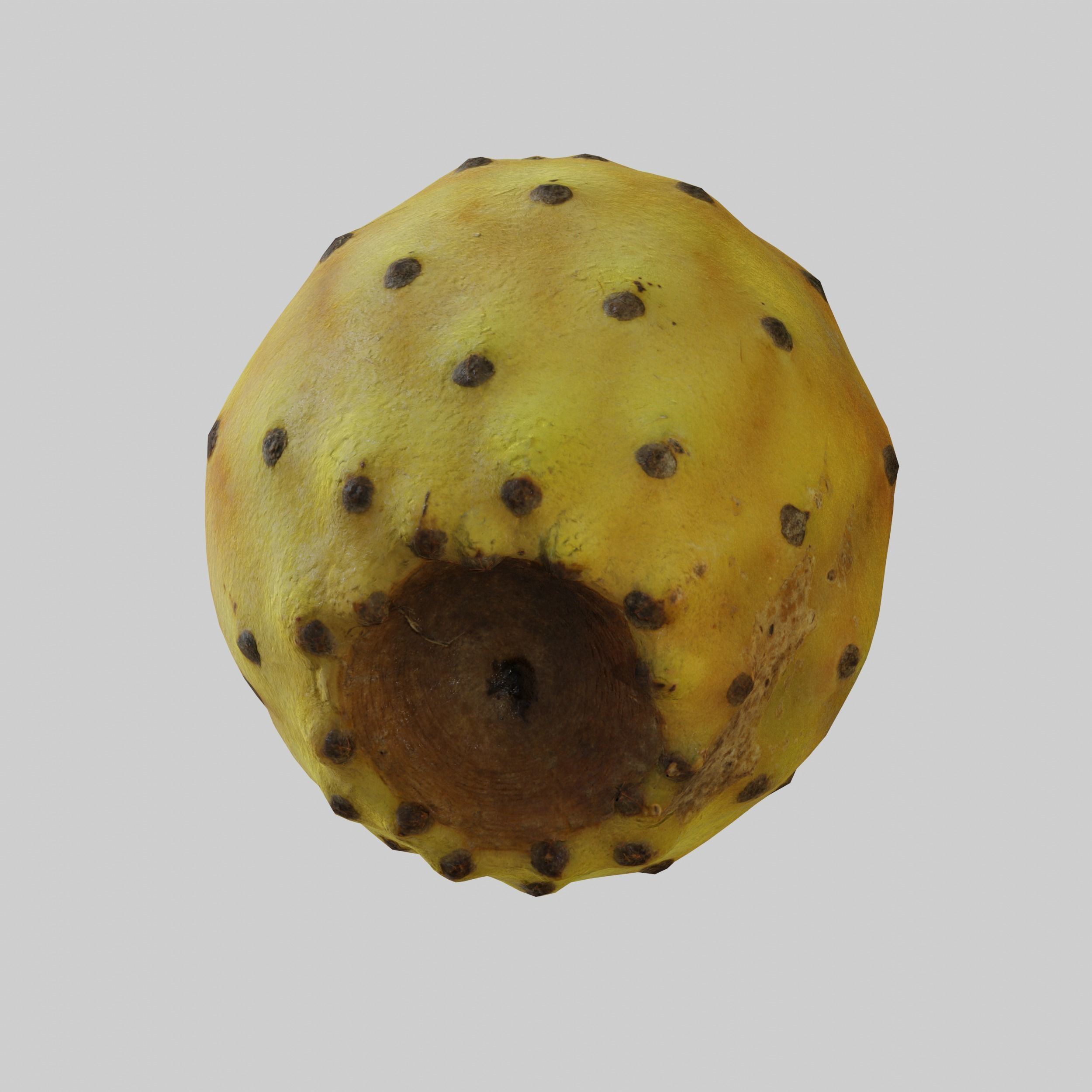 Prickly Pear 3D model_6