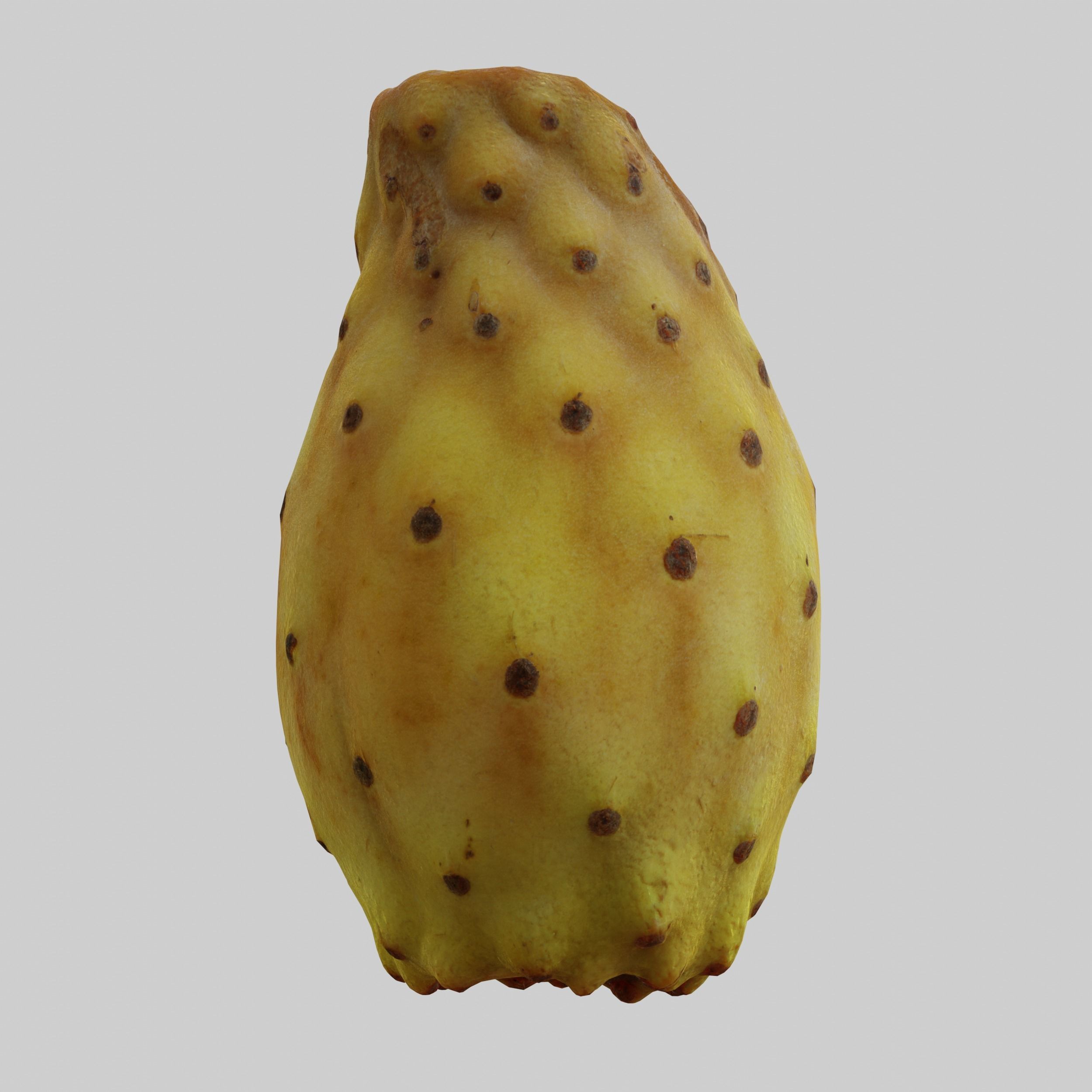 Prickly Pear 3D model_2