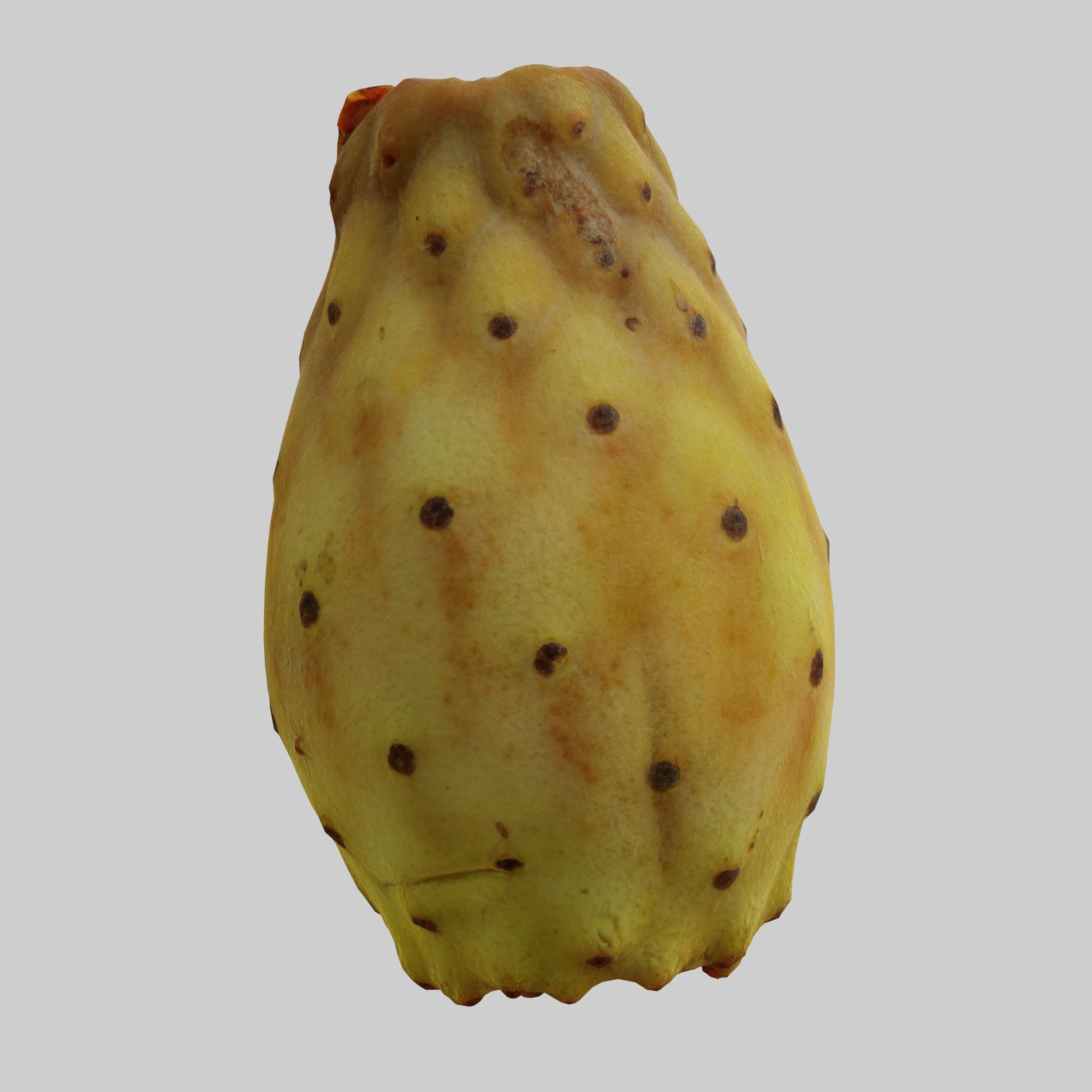 Prickly Pear 3D model_3