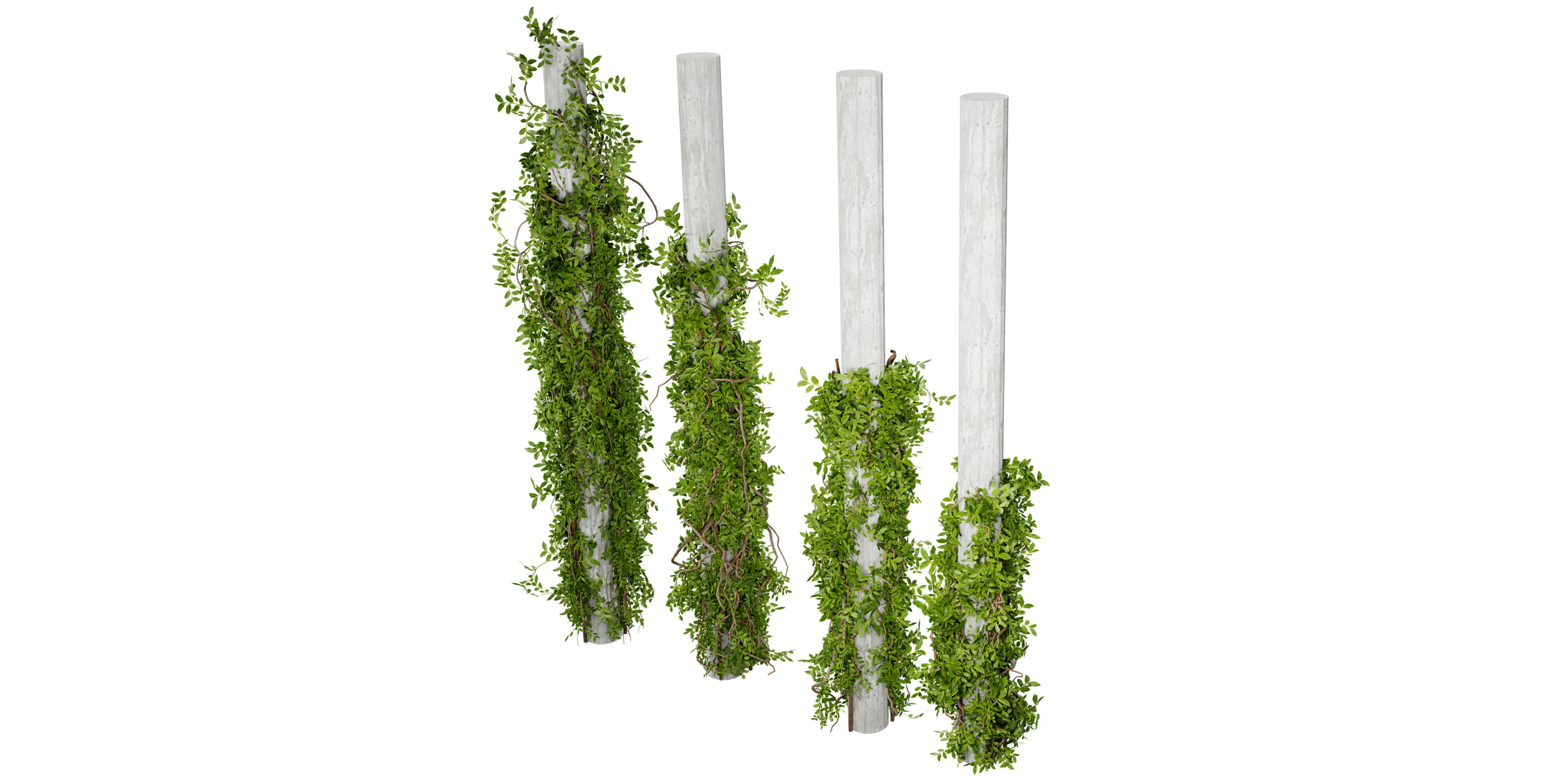 Collection plant vol 518 - blender model 3D model_4