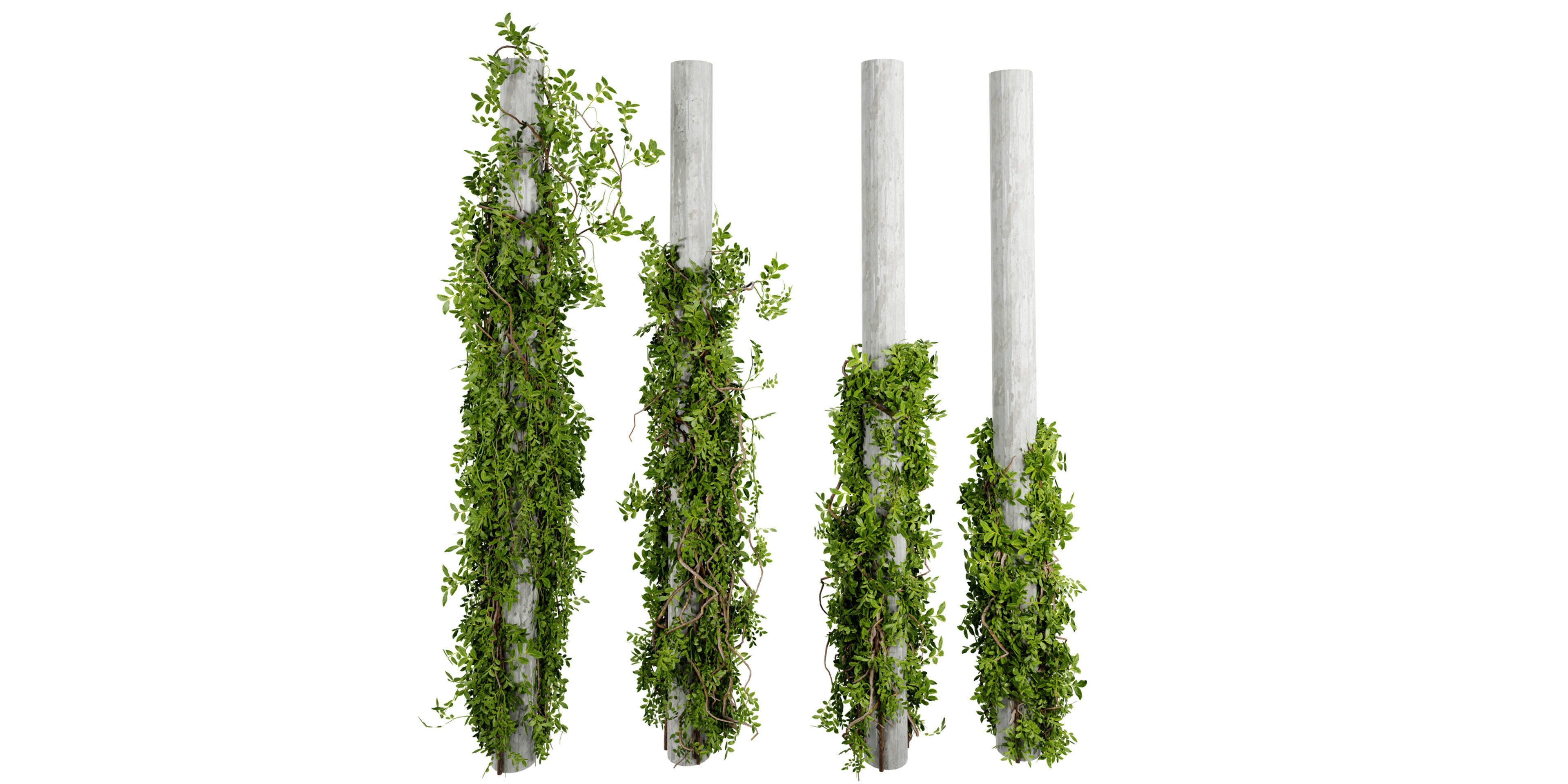 Collection plant vol 518 - blender model 3D model_1