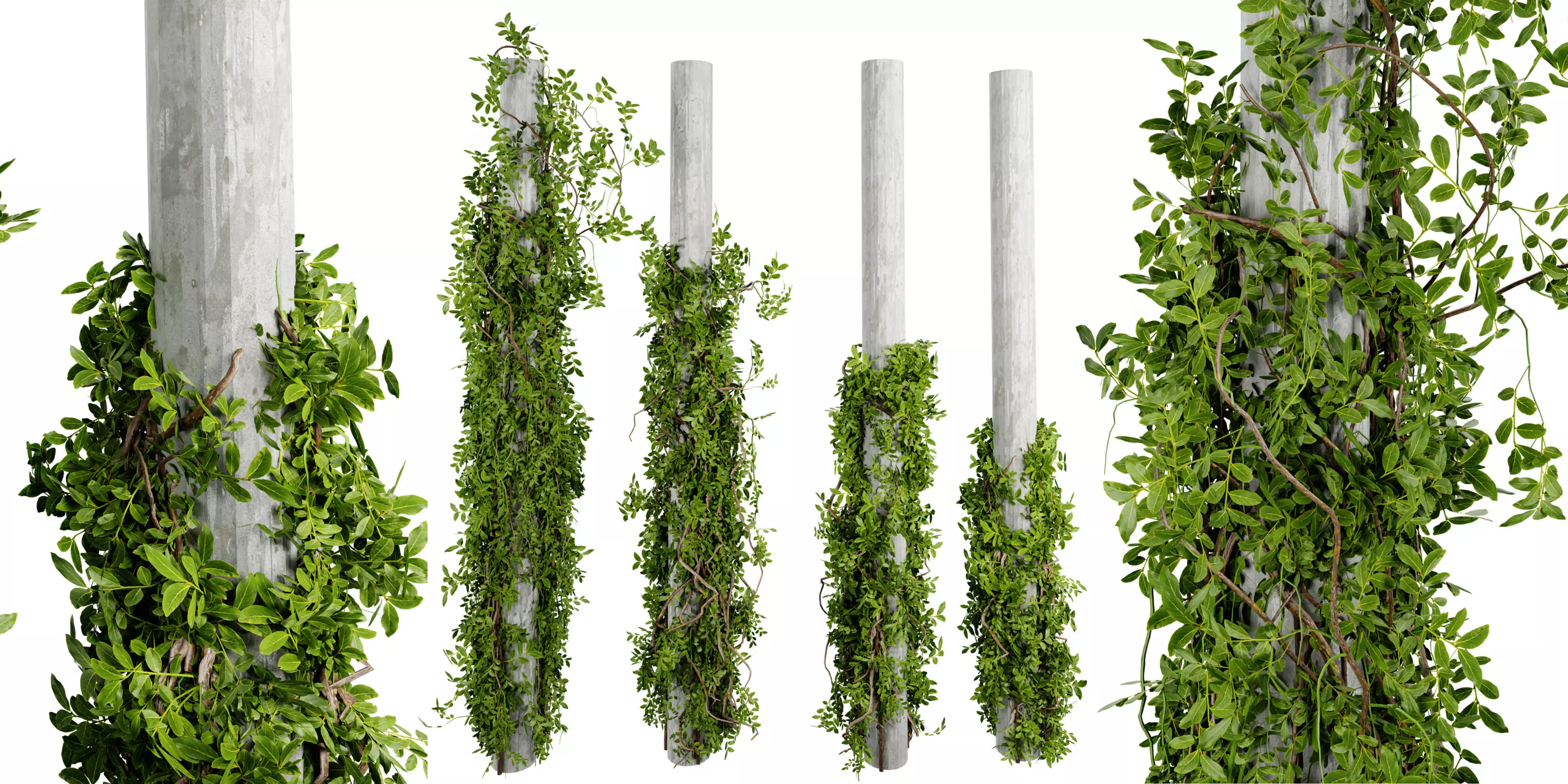 Collection plant vol 518 - blender model 3D model_0