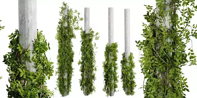 Collection plant vol 518 - blender model 3D model