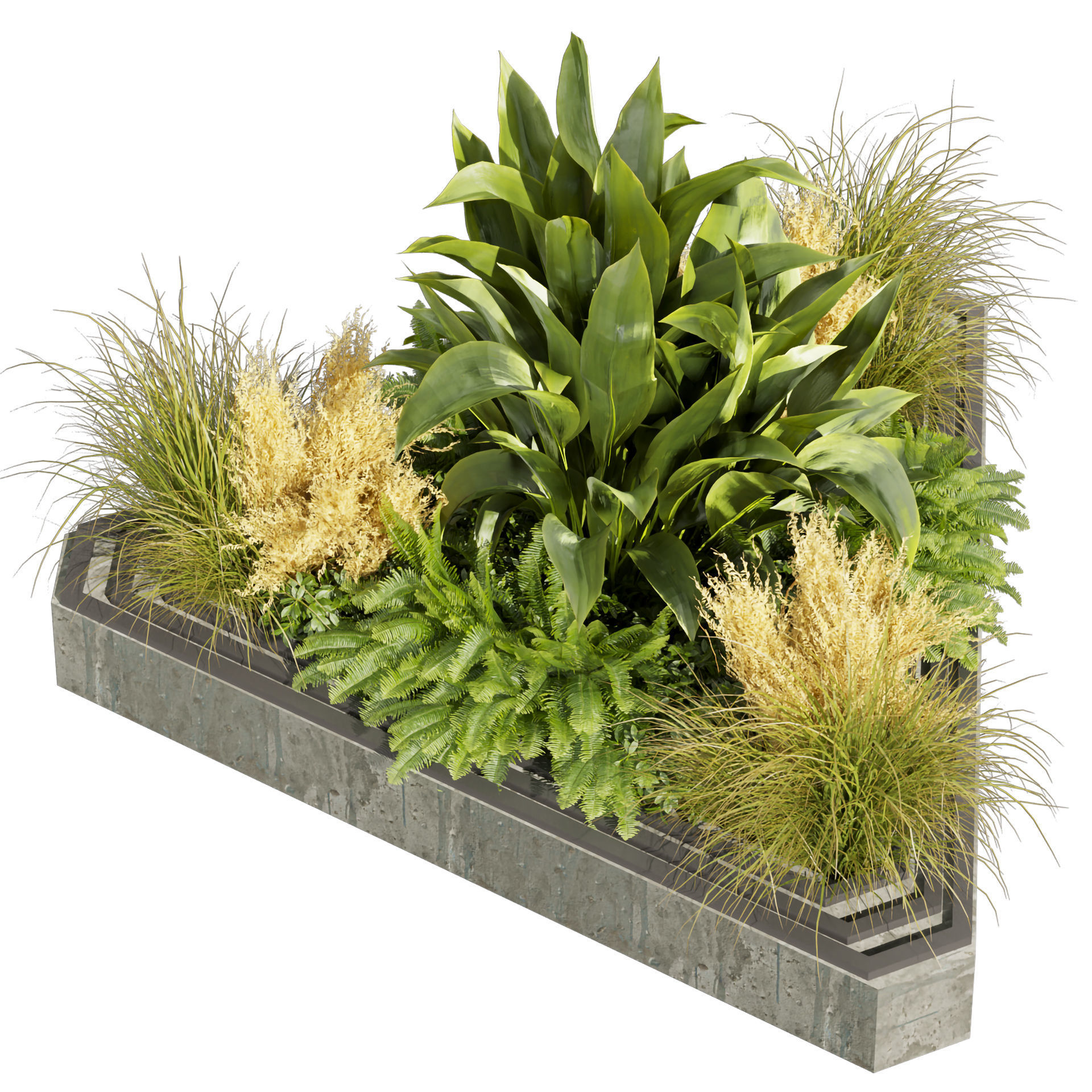 Collection plant vol 519 - garden - pampas - banana  3D model_3