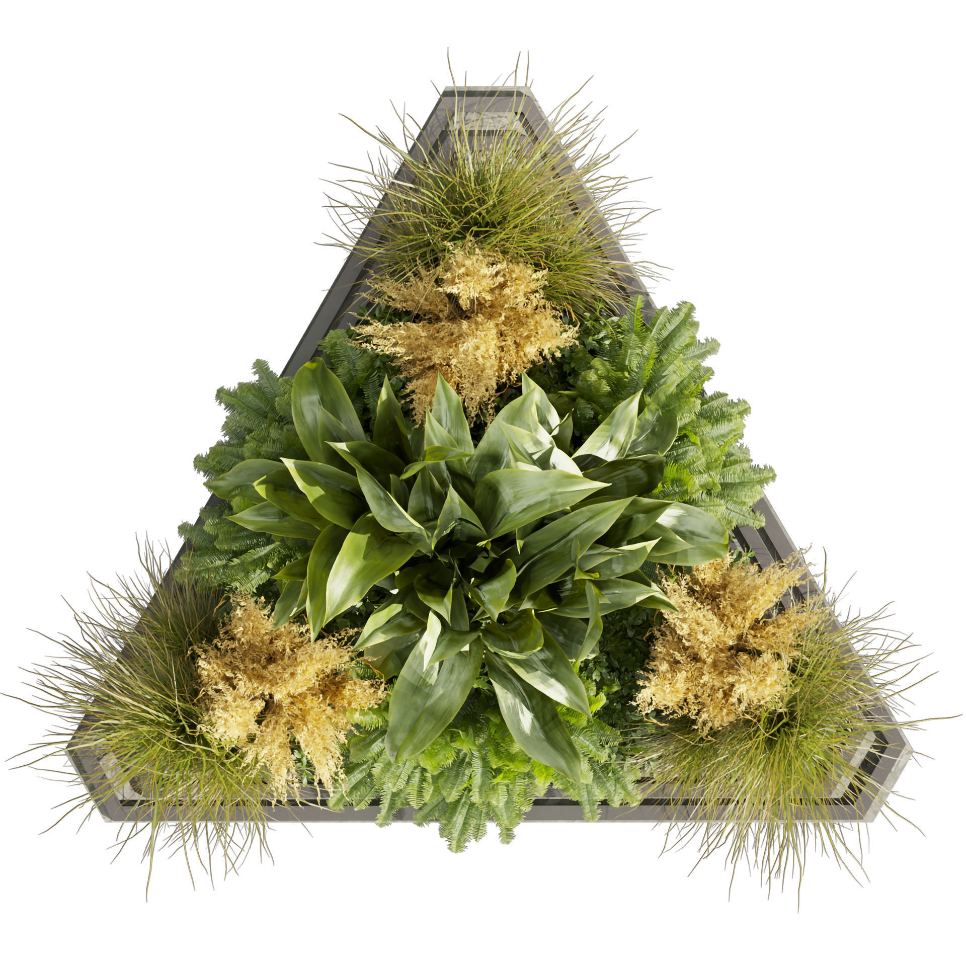 Collection plant vol 519 - garden - pampas - banana  3D model_5