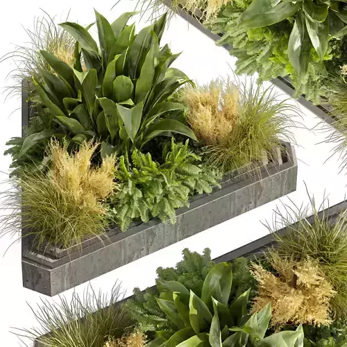 Collection plant vol 519 - garden - pampas - banana  3D model