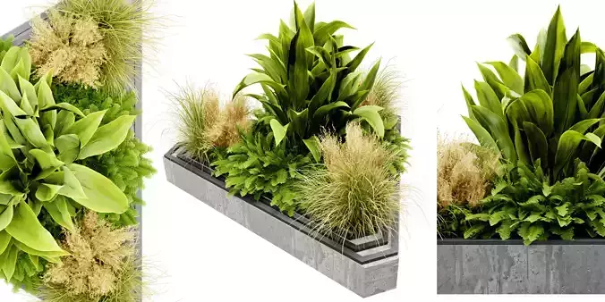 Collection plant vol 519 - blender model