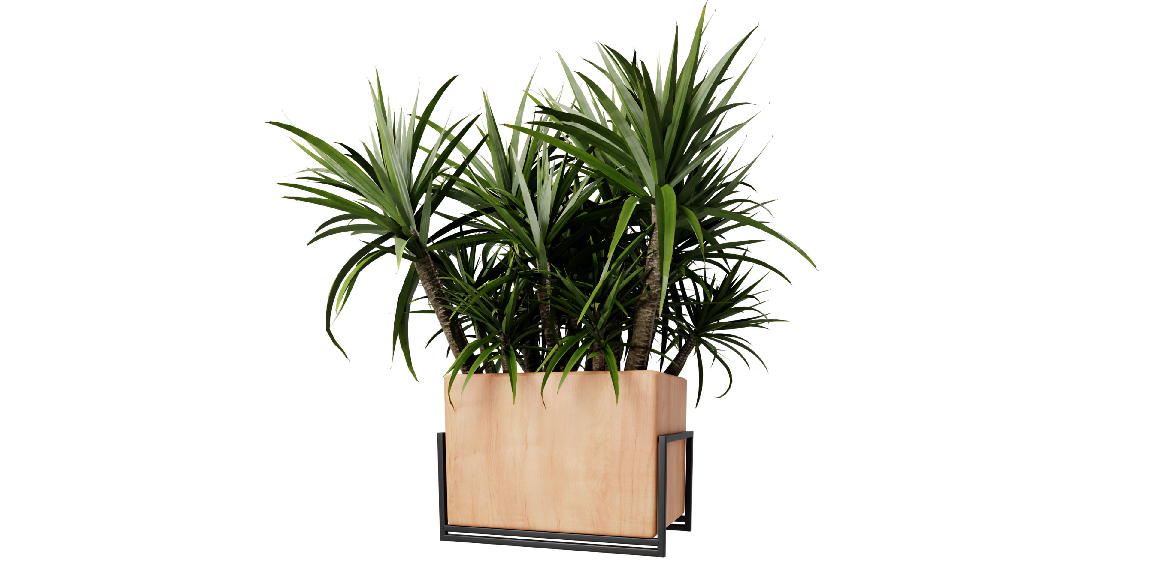 Collection plant vol 520 - blender model 3D model_3