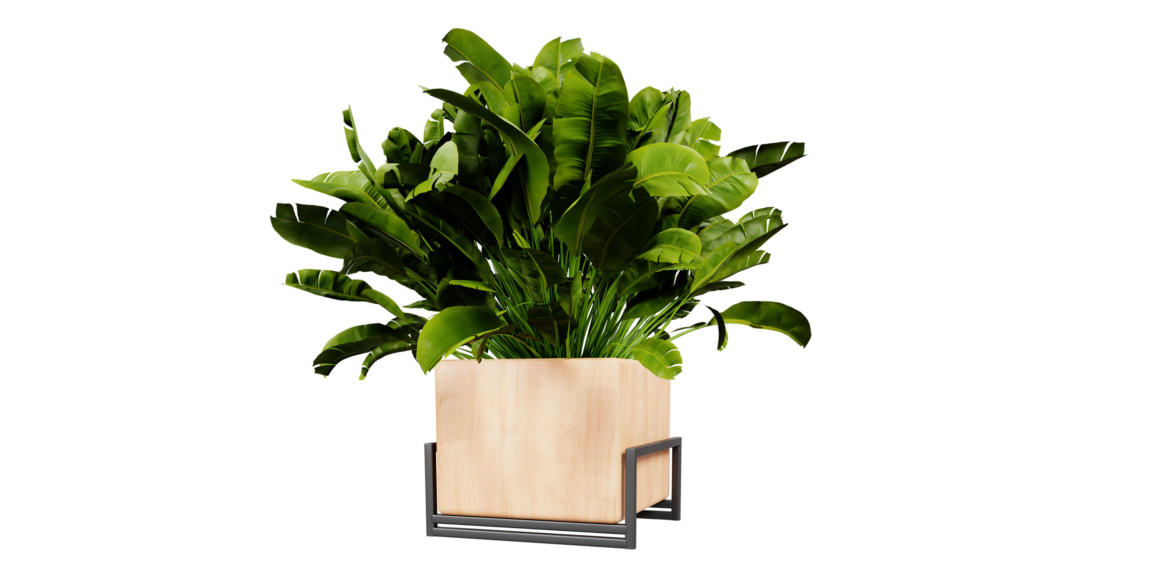 Collection plant vol 520 - blender model 3D model_1