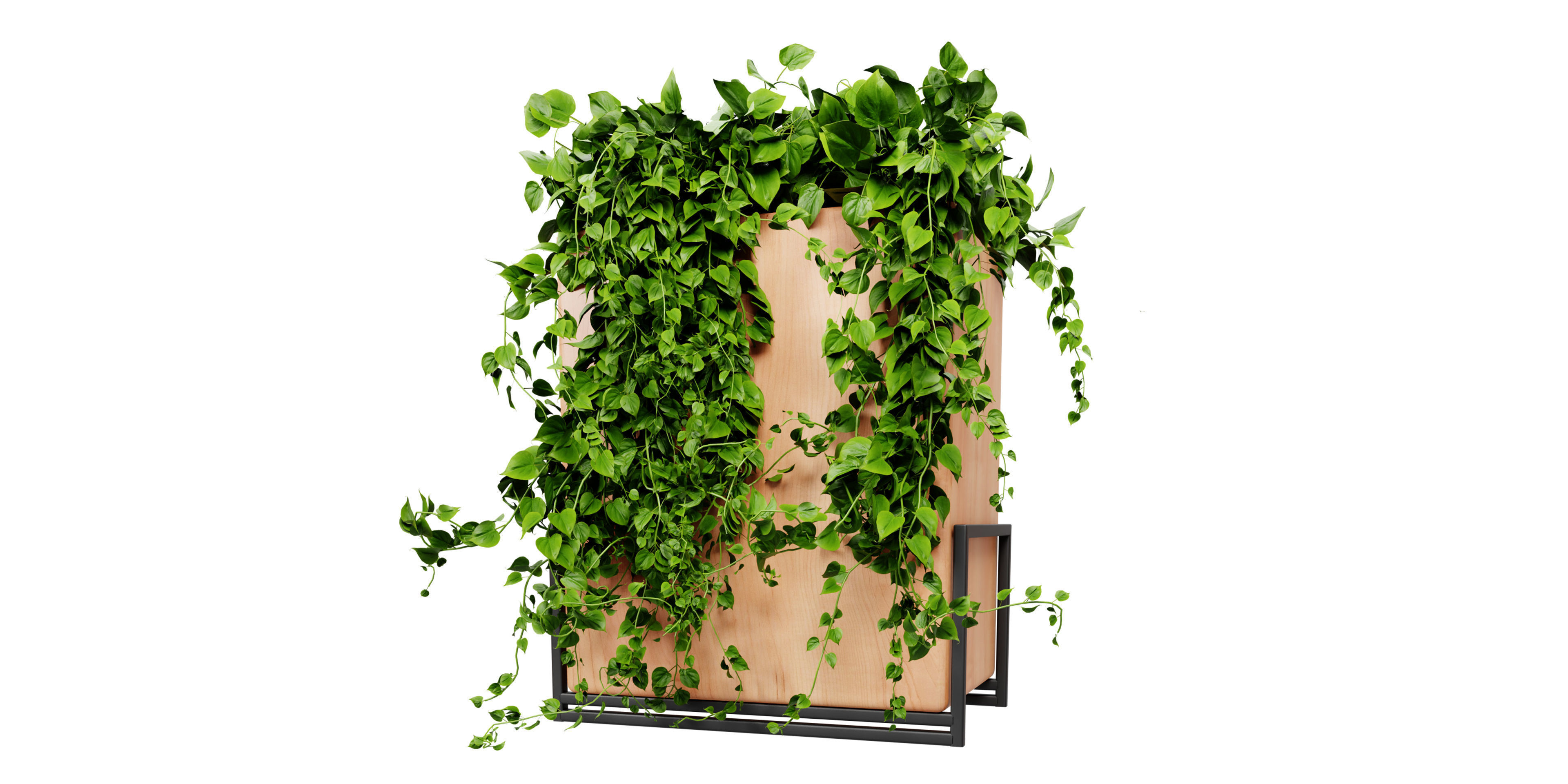 Collection plant vol 520 - blender model 3D model_2