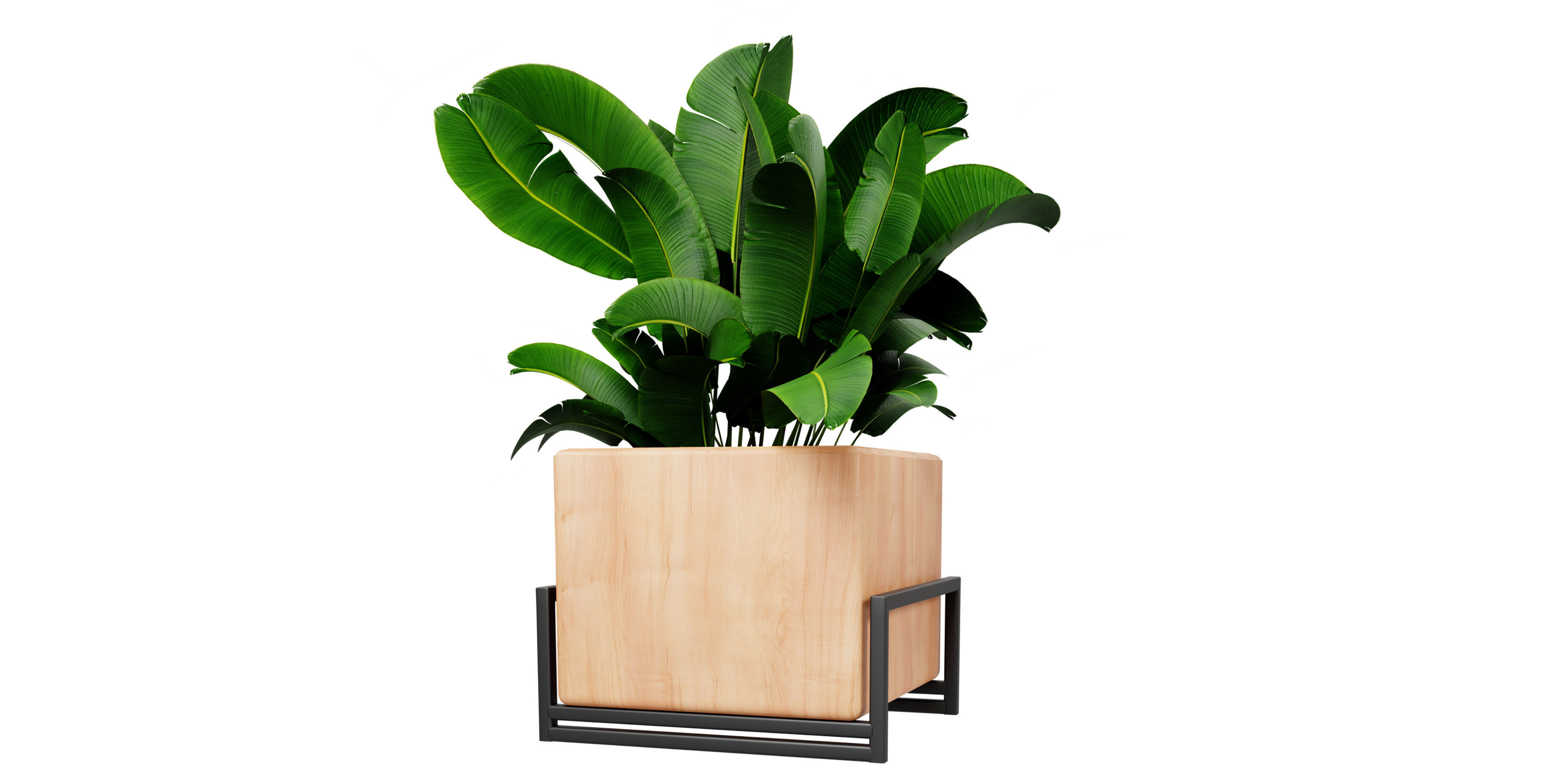 Collection plant vol 520 - blender model 3D model_4