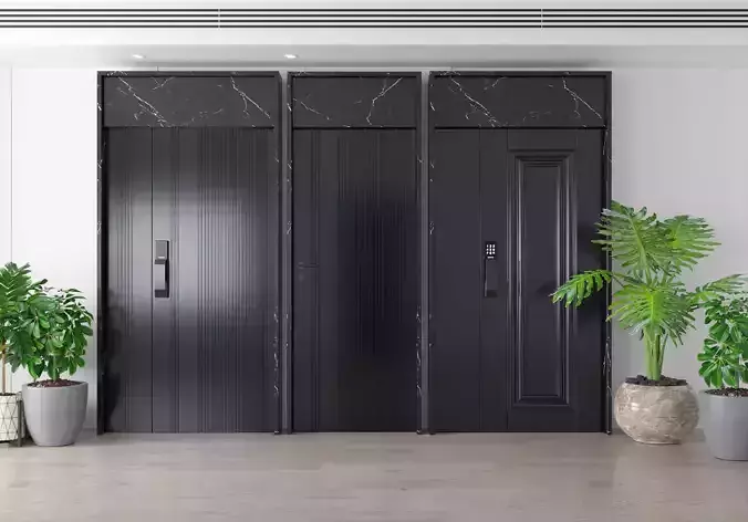 anti-theft Modern entry door