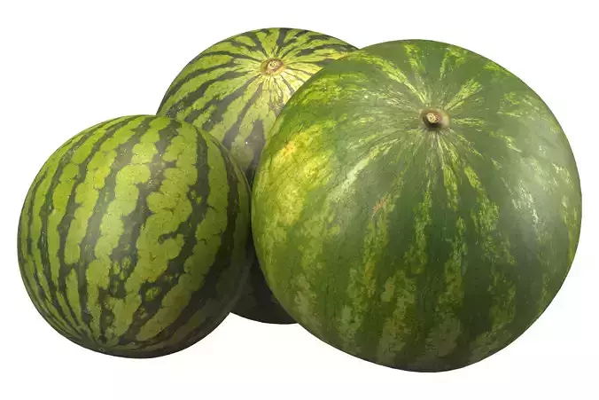 watermelon 3D model