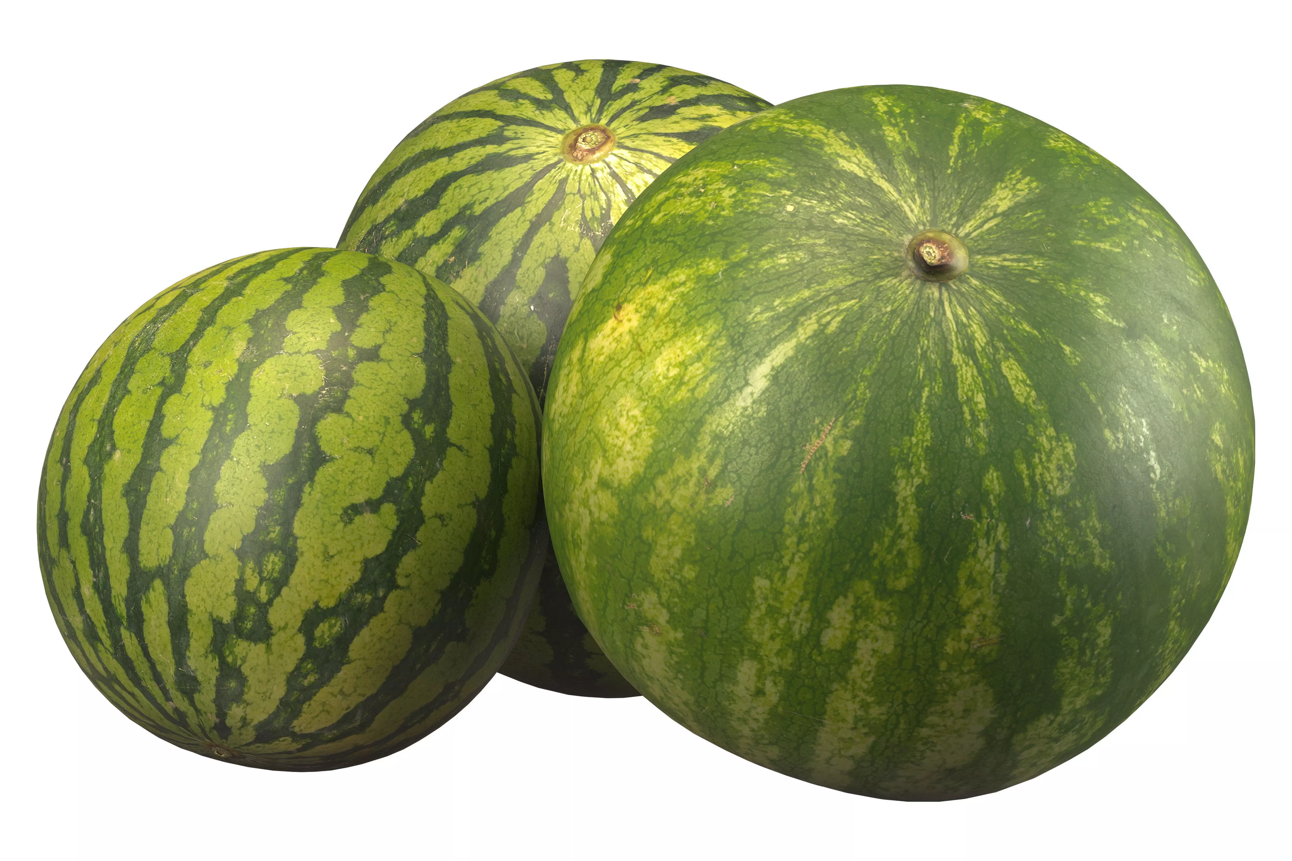 watermelon 3D model_0