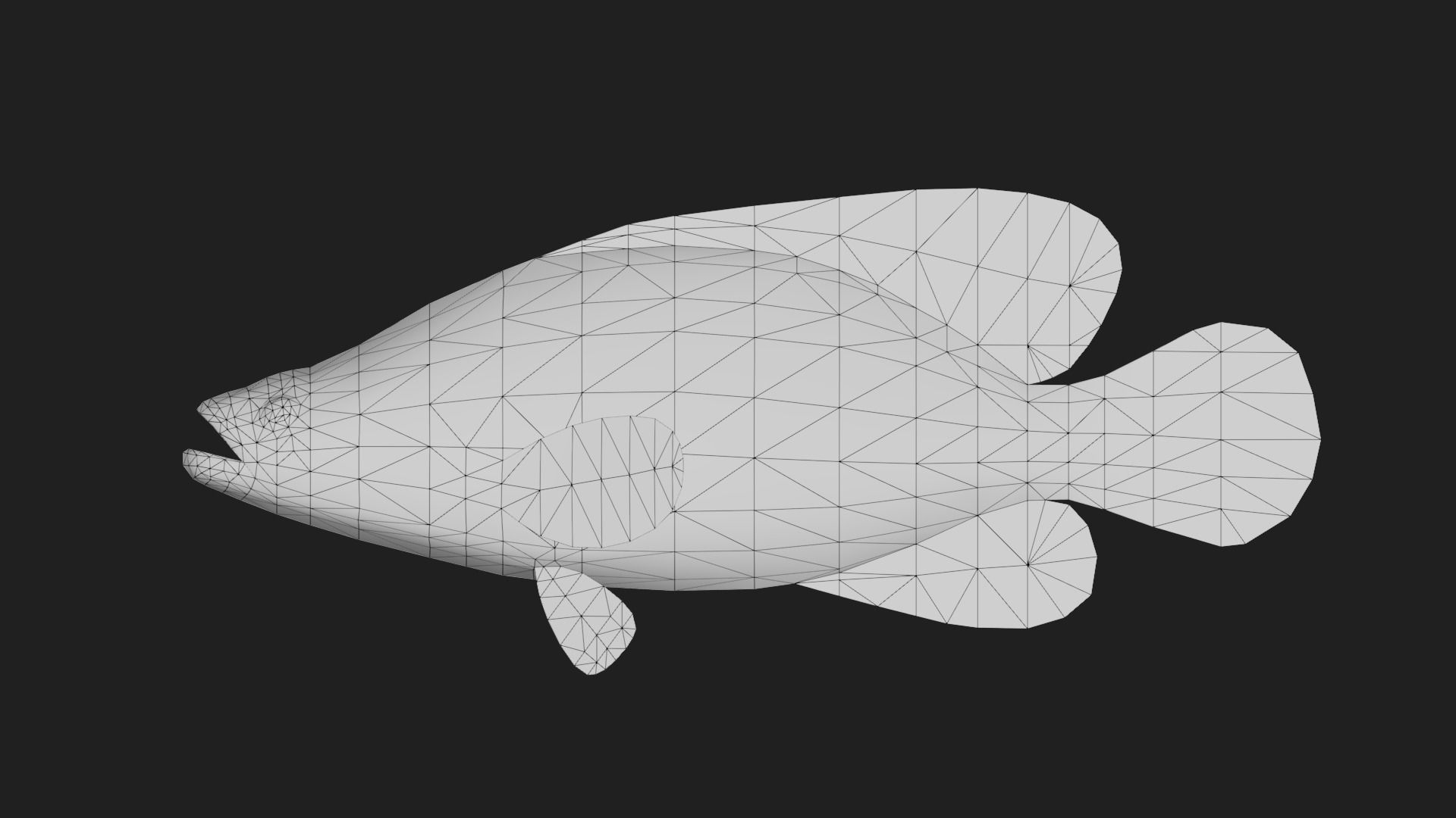 Grouper Low-poly 3D model_1
