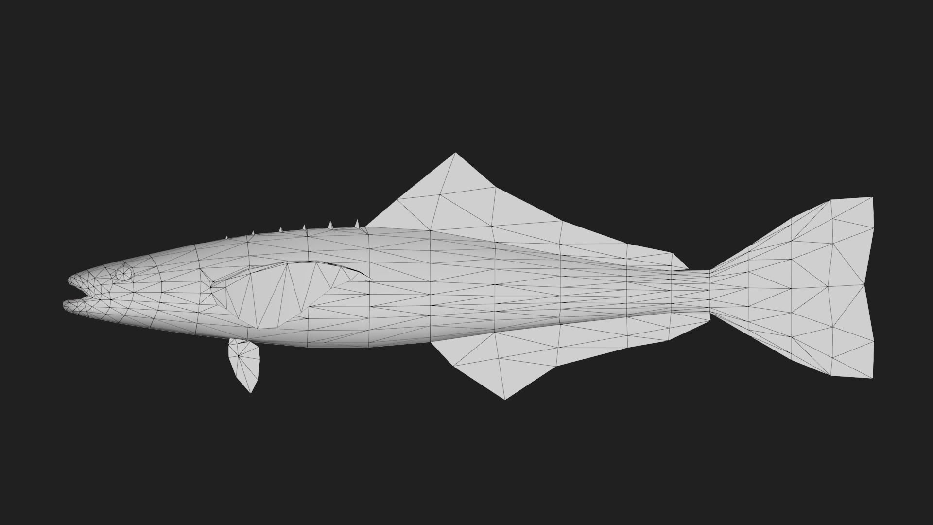 Bass fish Low-poly 3D model_1