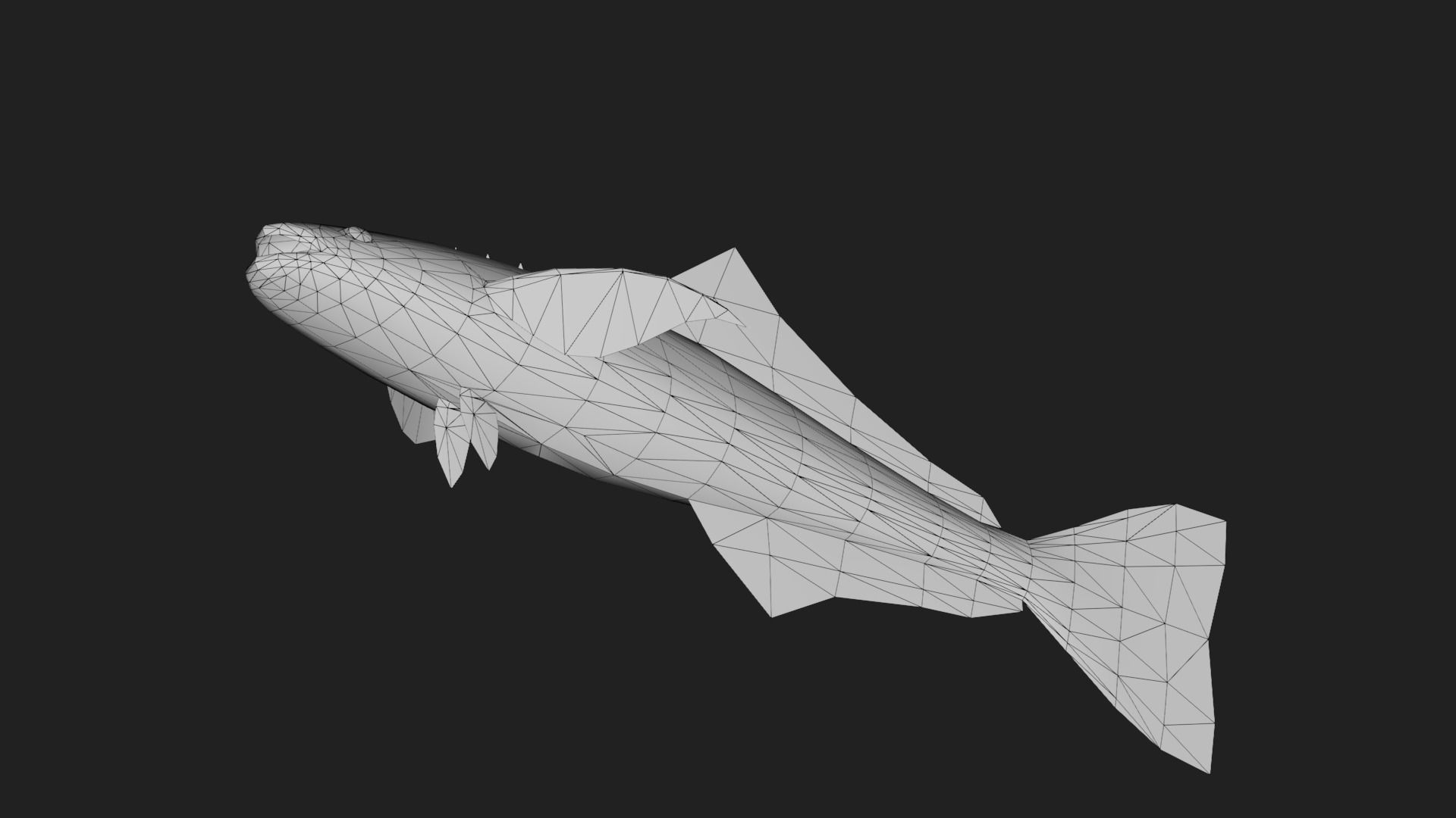 Bass fish Low-poly 3D model_5