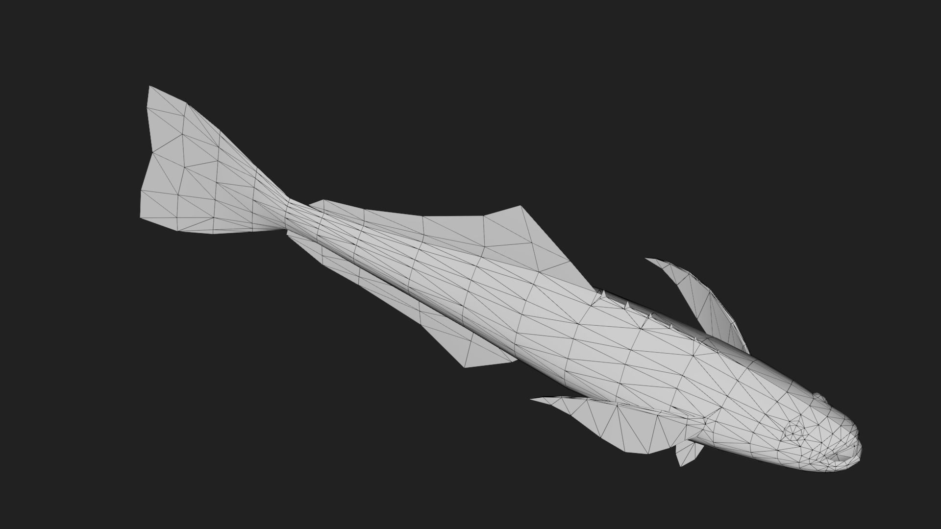 Bass fish Low-poly 3D model_3