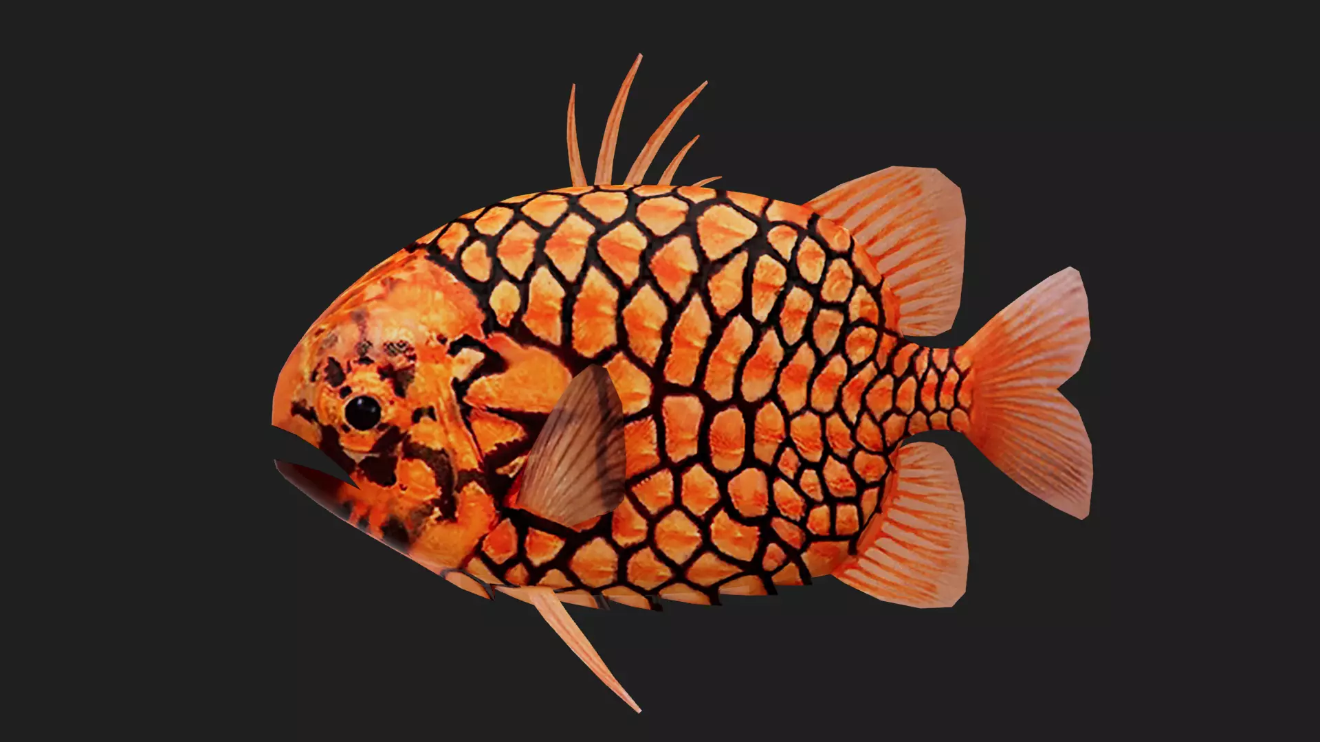 Snapper Low-poly 3D model_0