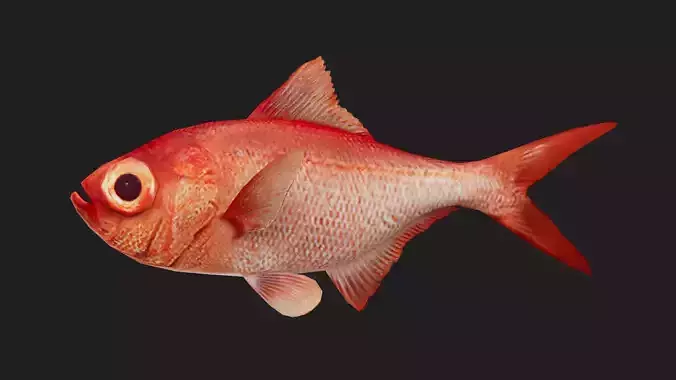 Snapper Low-poly 3D model